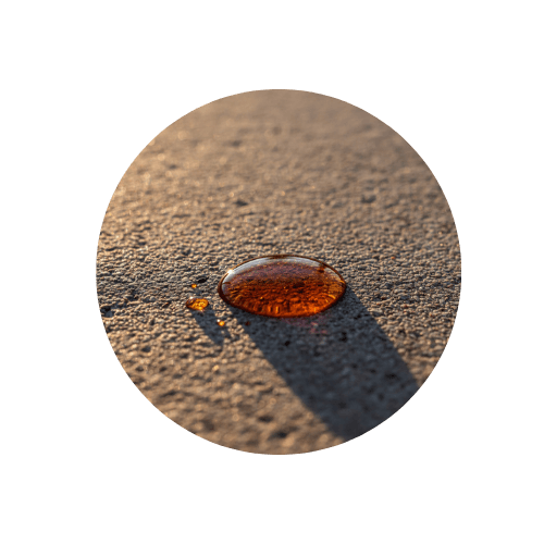 Vollmundig & Komplex wine category